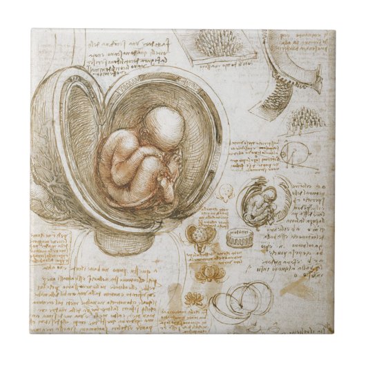 Leonardo da Vinci Studies voor de foetus in de baa Tegeltje (Voorkant)