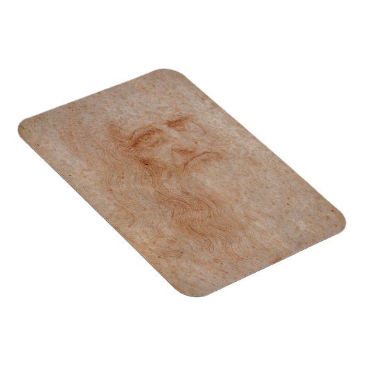 Leonardo da Vinci, vermoedelijk zelfportret Magneet (Rechterzijde)
