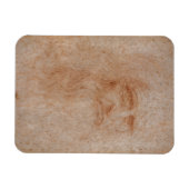 Leonardo da Vinci, vermoedelijk zelfportret Magneet (Horizontaal)