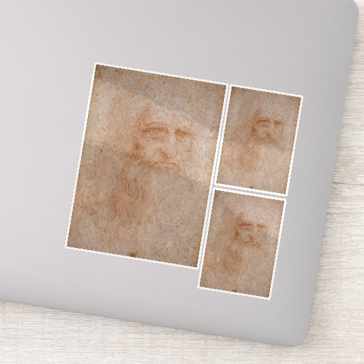 Leonardo da Vinci, vermoedelijk zelfportret Sticker (Detail)