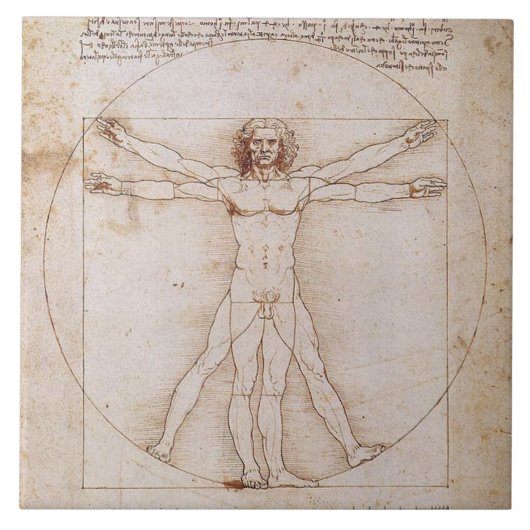 LEONARDO DA VINCI... VITRUVIAANS MAN ... 1490 TEGELTJE (Voorkant)