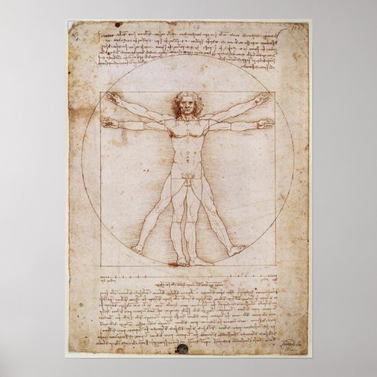 Leonardo da Vinci Vitruvian Man Poster (Voorkant)