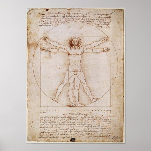 Leonardo da Vinci Vitruvian Man Poster (Voorkant)