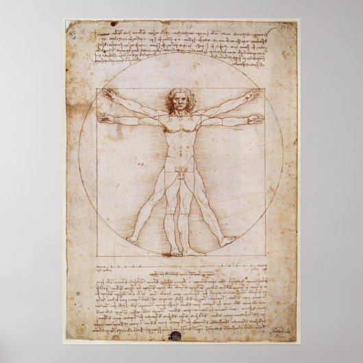 Leonardo da Vinci Vitruvian Man Poster (Voorkant)