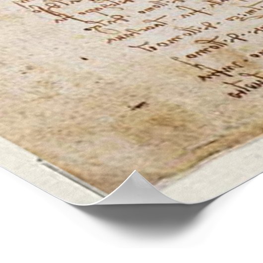 Leonardo da Vinci Vitruvian Man Poster (Hoek)