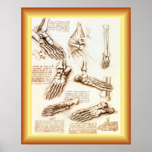 Leonardo da Vinci ~ Voetanatomie ~ Poster (Voorkant)