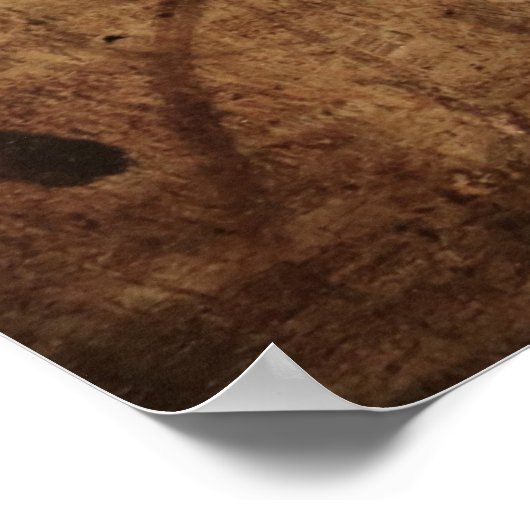 Leonardo Da Vinci Young Woman Poster (Hoek)