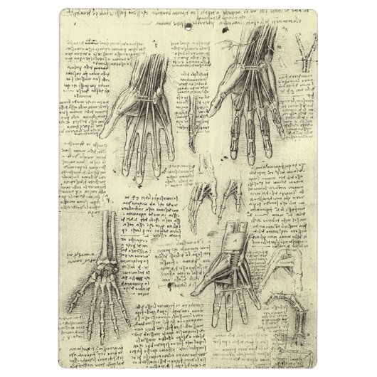 Leonardo da Vinci's anatomie van de menselijke han Klembord (Achterkant)