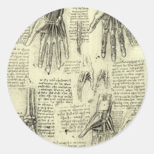Leonardo da Vinci's anatomie van de menselijke han Ronde Sticker