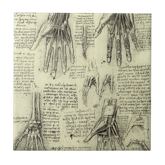 Leonardo da Vinci's anatomie van de menselijke han Tegeltje (Voorkant)
