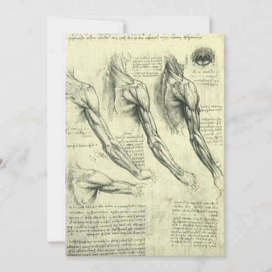 Leonardo da Vinci's arm- en schouderanatomie (Voorkant)