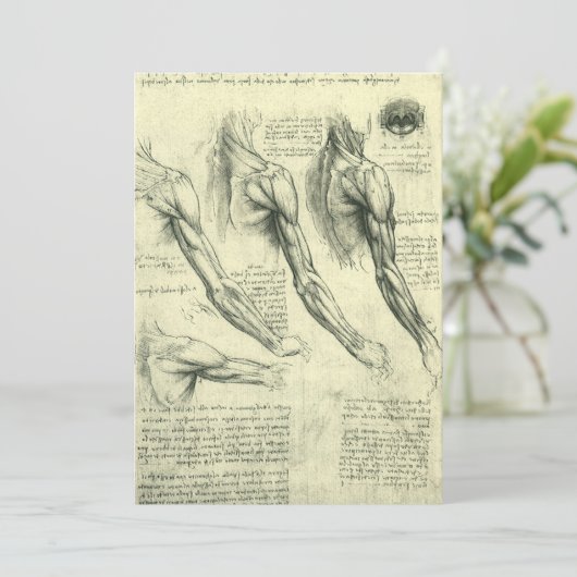 Leonardo da Vinci's arm- en schouderanatomie (Staand voorkant)