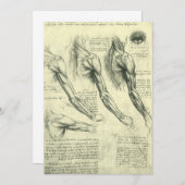 Leonardo da Vinci's arm- en schouderanatomie (Voorkant / Achterkant)