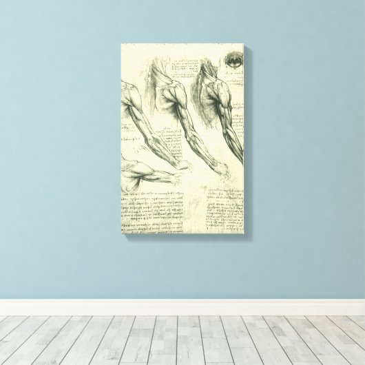 Leonardo da Vinci's arm- en schouderanatomie Canvas Afdruk (Insitu (Houten vloer))