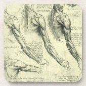 Leonardo da Vinci's arm- en schouderanatomie Drankjes Onderzetter (Voorkant)