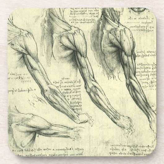 Leonardo da Vinci's arm- en schouderanatomie Drankjes Onderzetter (Voorkant)