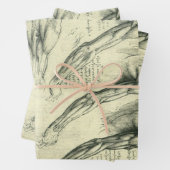 Leonardo da Vinci's arm- en schouderanatomie Inpakpapier Vel (In situ)