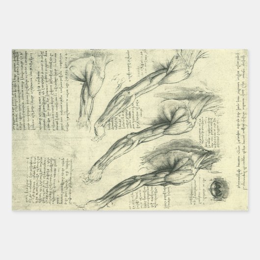 Leonardo da Vinci's arm- en schouderanatomie Inpakpapier Vel (Voorkant)