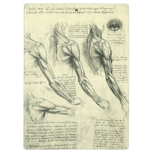 Leonardo da Vinci's arm- en schouderanatomie Klembord (Achterkant)