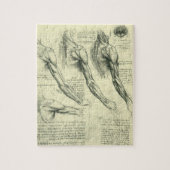 Leonardo da Vinci's arm- en schouderanatomie Legpuzzel (Verticaal)
