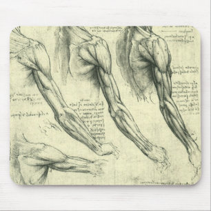 Leonardo da Vinci's arm- en schouderanatomie Muismat