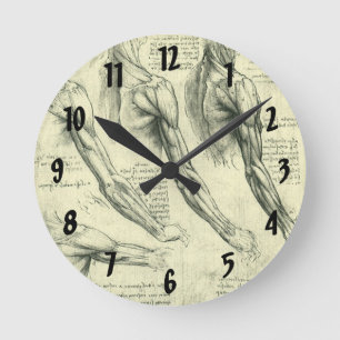 Leonardo da Vinci's arm- en schouderanatomie Ronde Klok