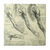 Leonardo da Vinci's arm- en schouderanatomie Tegeltje (Voorkant)