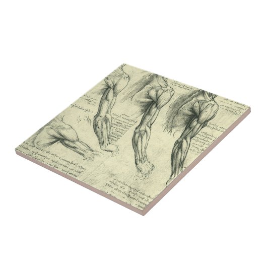 Leonardo da Vinci's arm- en schouderanatomie Tegeltje (Zijkant)