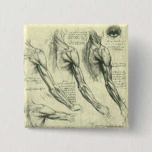 Leonardo da Vinci's arm- en schouderanatomie Vierkante Button 5,1 Cm