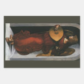 Leonardo da Vinci's Een engel in het rood met een  Inpakpapier Vel (Voorkant)