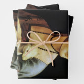 Leonardo da Vinci's Lady met een Ermine Inpakpapier Vel (In situ)