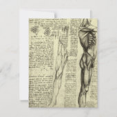 Leonardo da Vinci's menselijke anatomie mannelijke (Voorkant)