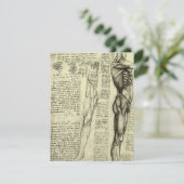 Leonardo da Vinci's menselijke anatomie mannelijke (Staand voorkant)