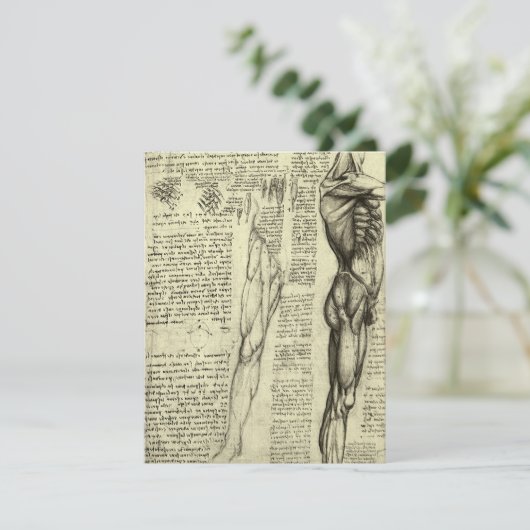 Leonardo da Vinci's menselijke anatomie mannelijke (Staand voorkant)