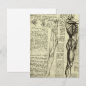 Leonardo da Vinci's menselijke anatomie mannelijke (Voorkant / Achterkant)
