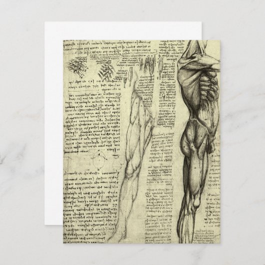 Leonardo da Vinci's menselijke anatomie mannelijke (Voorkant / Achterkant)