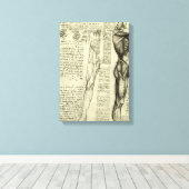 Leonardo da Vinci's menselijke anatomie mannelijke Canvas Afdruk (Insitu (Houten vloer))