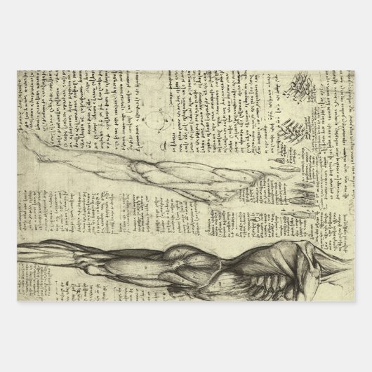 Leonardo da Vinci's menselijke anatomie mannelijke Inpakpapier Vel (Voorkant 3)