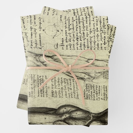 Leonardo da Vinci's menselijke anatomie mannelijke Inpakpapier Vel (In situ)