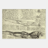 Leonardo da Vinci's menselijke anatomie mannelijke Inpakpapier Vel (Voorkant)