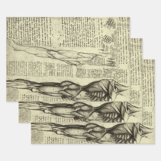 Leonardo da Vinci's menselijke anatomie mannelijke Inpakpapier Vel (Set)