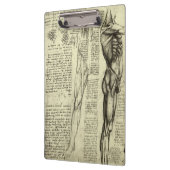 Leonardo da Vinci's menselijke anatomie mannelijke Klembord (Links)
