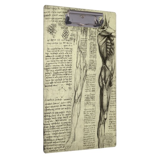 Leonardo da Vinci's menselijke anatomie mannelijke Klembord (Rechts)