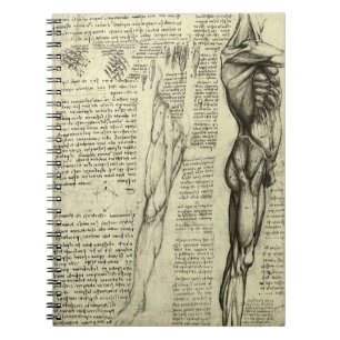 Leonardo da Vinci's menselijke anatomie mannelijke Notitieboek