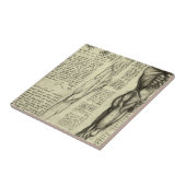 Leonardo da Vinci's menselijke anatomie mannelijke Tegeltje (Zijkant)