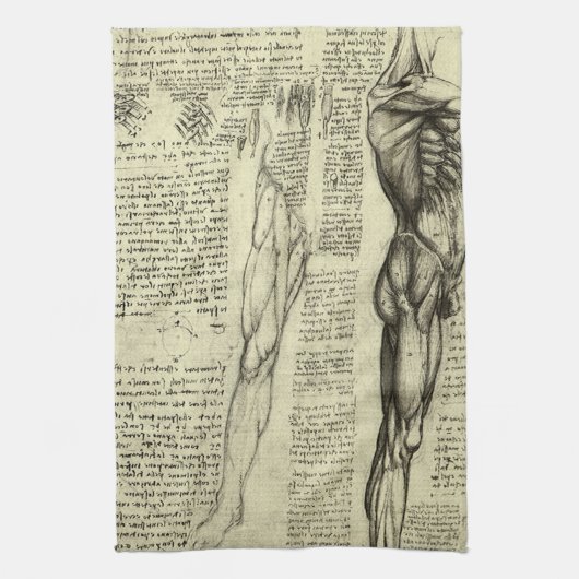 Leonardo da Vinci's menselijke anatomie mannelijke Theedoek (Verticaal)