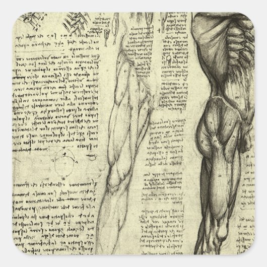 Leonardo da Vinci's menselijke anatomie mannelijke Vierkante Sticker (Voorkant)