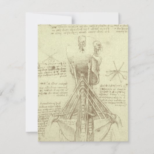 Leonardo da Vinci's menselijke anatomie ruggengraa (Voorkant)