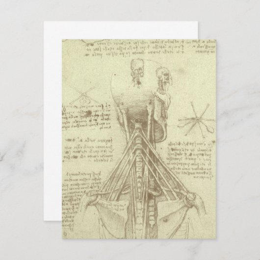 Leonardo da Vinci's menselijke anatomie ruggengraa (Voorkant / Achterkant)