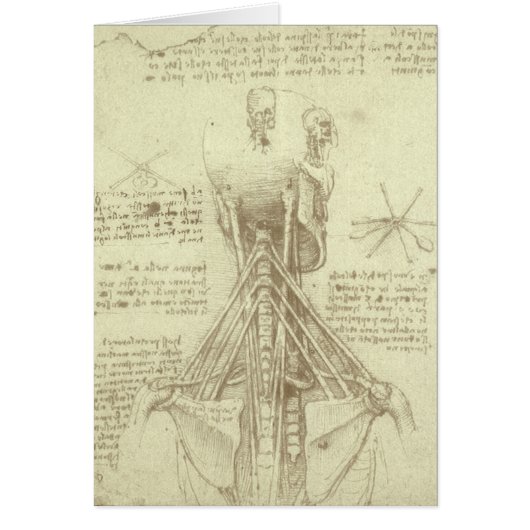 Leonardo da Vinci's menselijke anatomie ruggengraa (Voorkant)